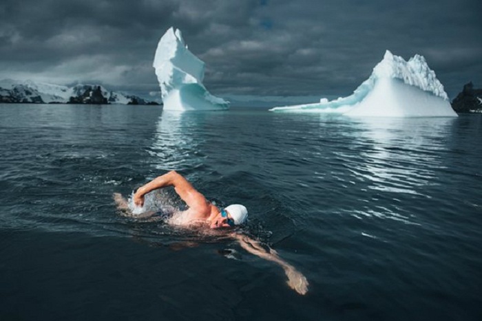 Briton swims Antarctic in campaign for three marine sanctuaries 